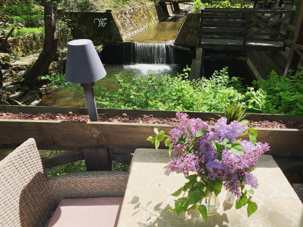 Garni Hotel Vir Vrnjačka Banja Extérieur photo